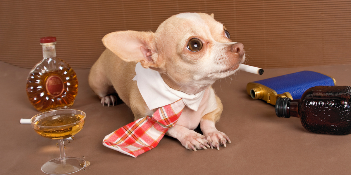 The Big List of Bad Habits Pavlok Can Help You Break